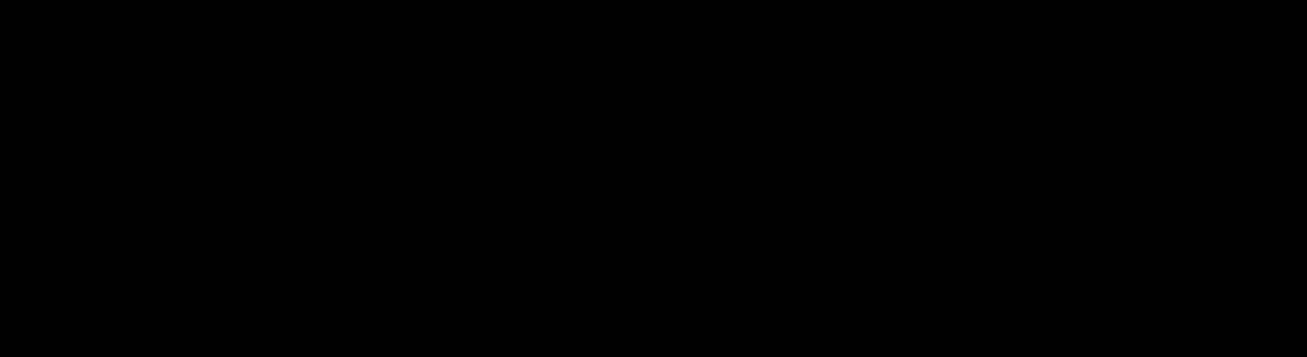 Video Text